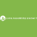 Lupa Password Xiaomi Yi
